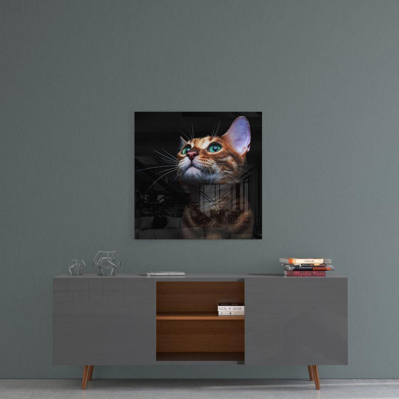 Tableau en verre - Chaton Chat - Cam tablo - Yavru Kedi - Glasbild - Kätzchen Katze