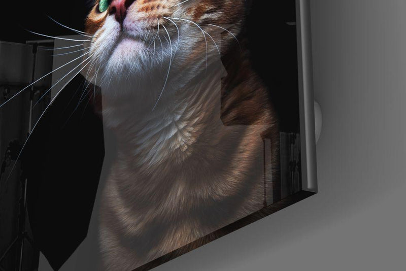 Tableau en verre - Chaton Chat - Cam tablo - Yavru Kedi - Glasbild - Kätzchen Katze